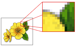 Bitmap images are made up of individual pixels.